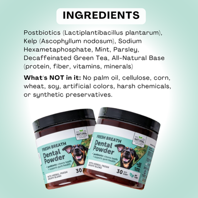 MicroBalance Dental Powder