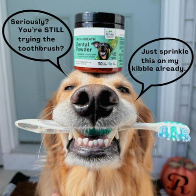 MicroBalance Dental Powder