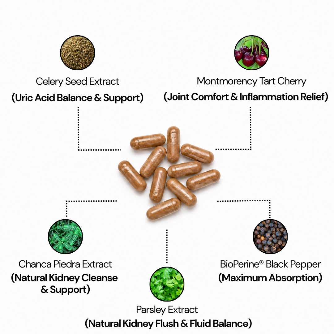 Uric Acid Support Capsules (1,404mg)