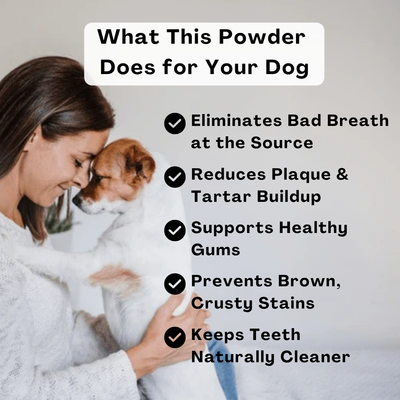 MicroBalance Dental Powder