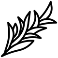 ROSEMARY EXTRACT (3%)